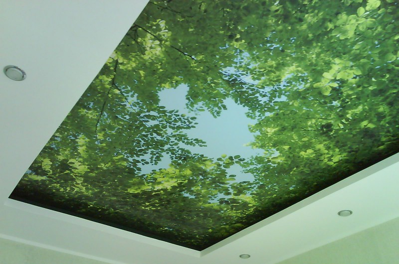 цвет натяжного потолка в ванной